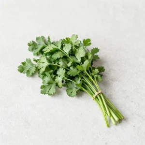 Fragrant Coriander Bunch